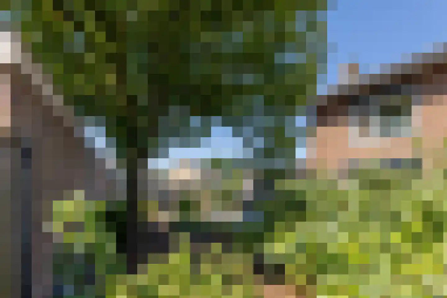 Molenstraat 22 Hoogerheide thumbnail 55