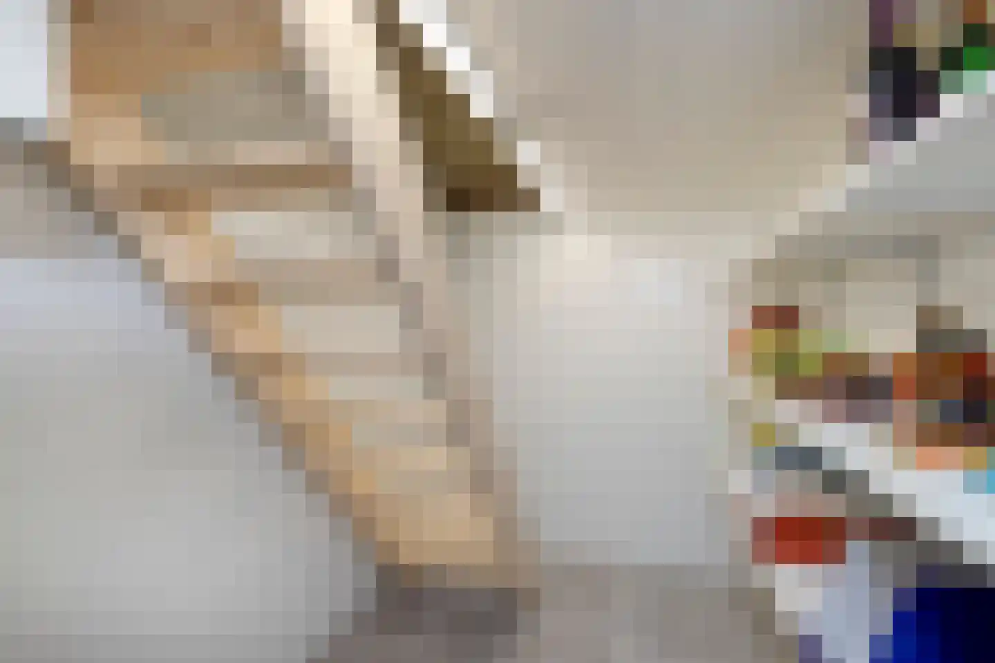 Molenstraat 22 Hoogerheide thumbnail 8
