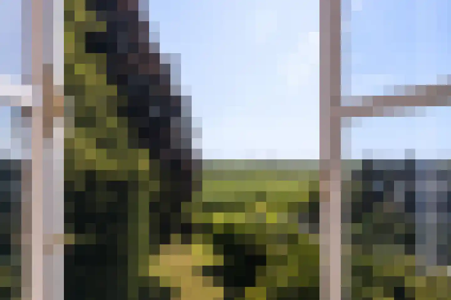 Molenstraat 22 Kinderdijk thumbnail 10