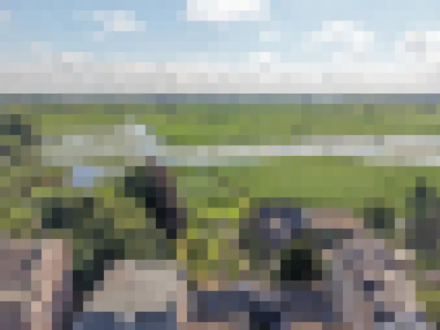 Molenstraat 22 Kinderdijk thumbnail 66