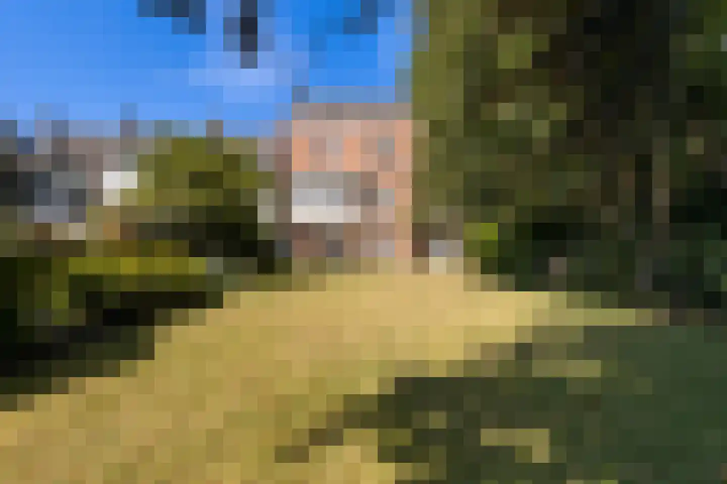 Molenstraat 22 Kinderdijk thumbnail 73