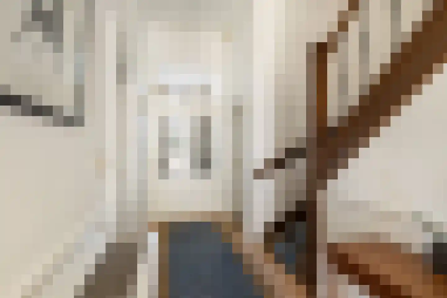 Molenstraat 22 Kinderdijk thumbnail 8
