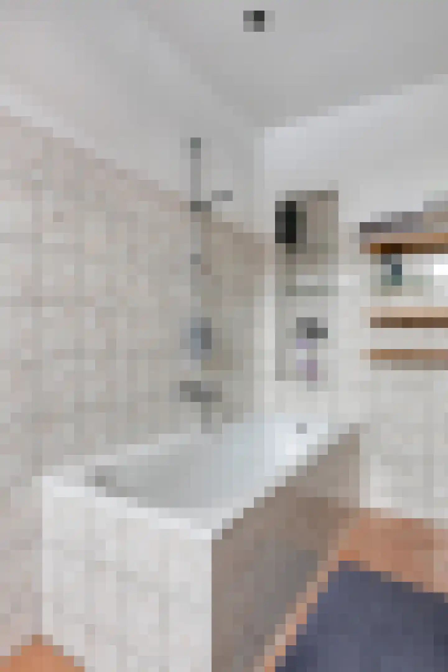 Molenstraat 22 Oud-Vossemeer thumbnail 15