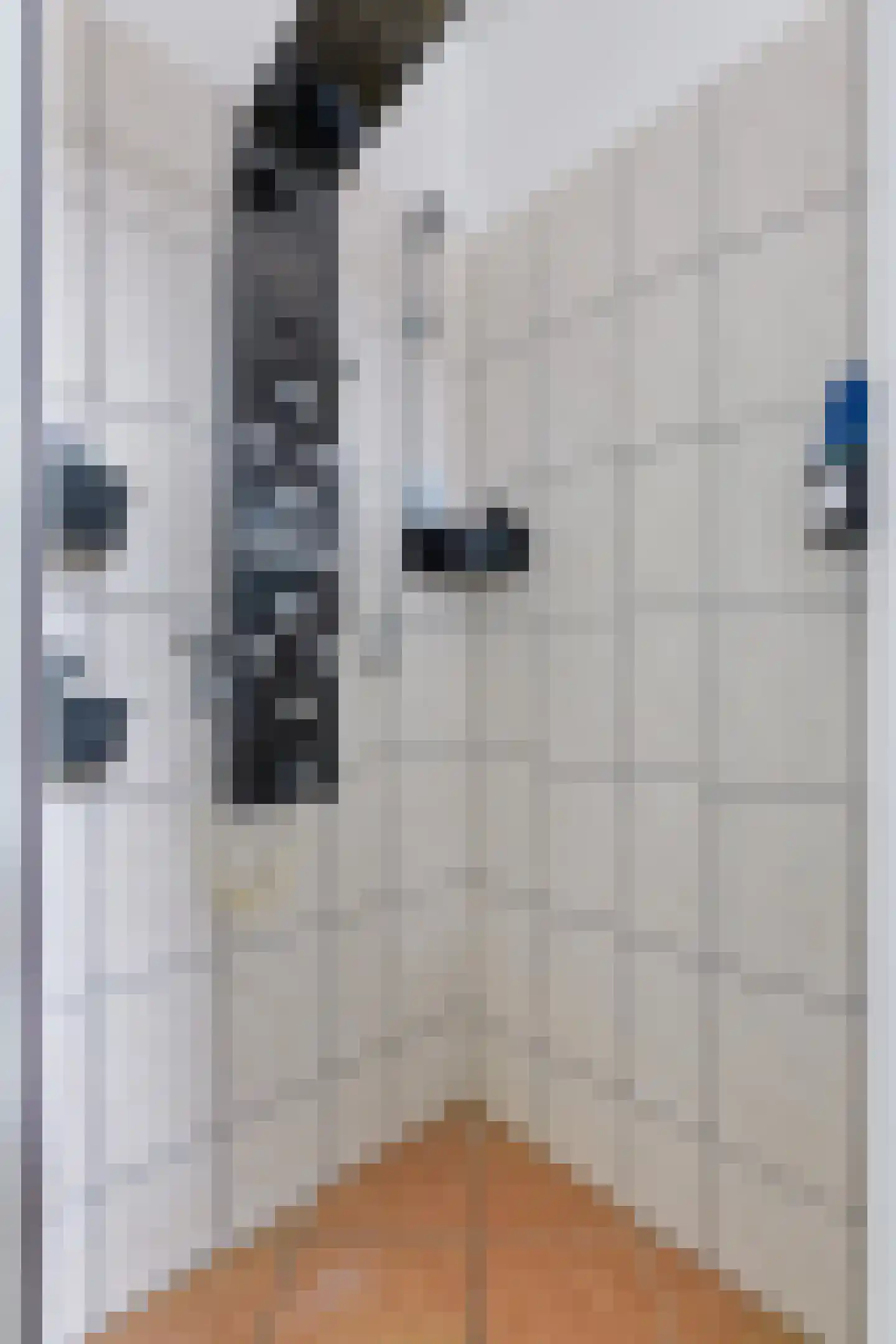 Molenstraat 22 Oud-Vossemeer thumbnail 16