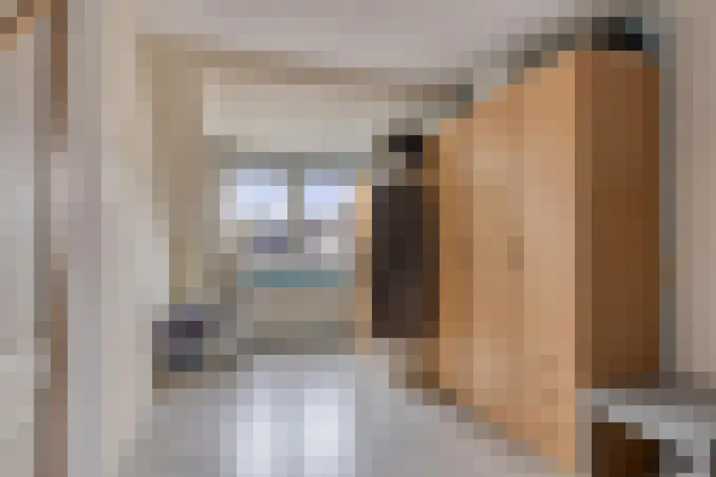 Molenstraat 22 Oud-Vossemeer thumbnail 19