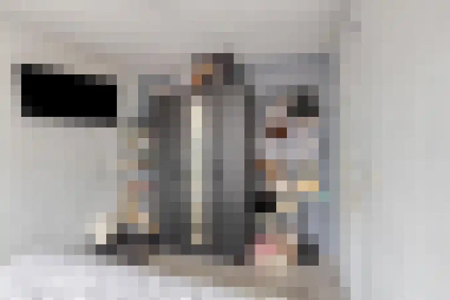 Molenstraat 22 Oud-Vossemeer thumbnail 21