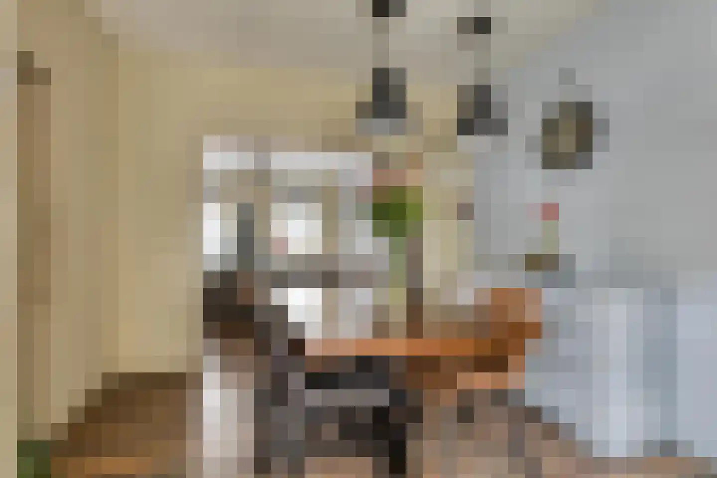 Molenstraat 22 Oud-Vossemeer thumbnail 9