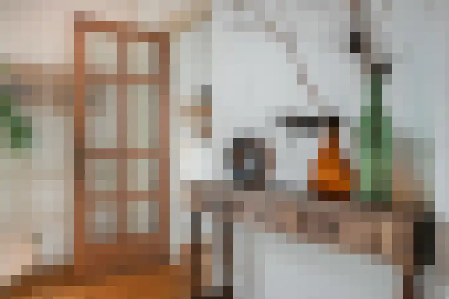 Molenstraat 22 Zevenbergen thumbnail 10