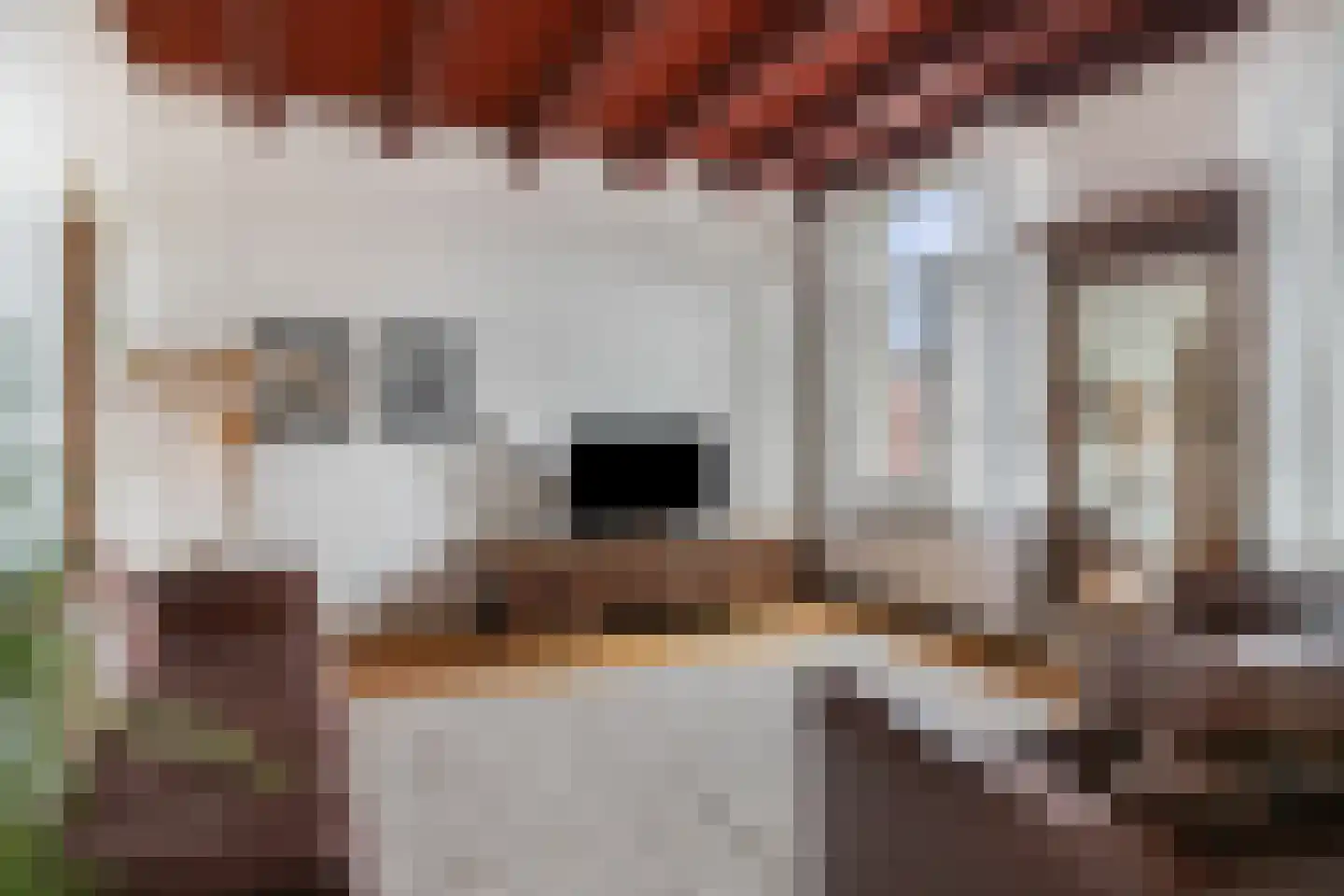 Molenstraat 22 Zevenbergen thumbnail 13