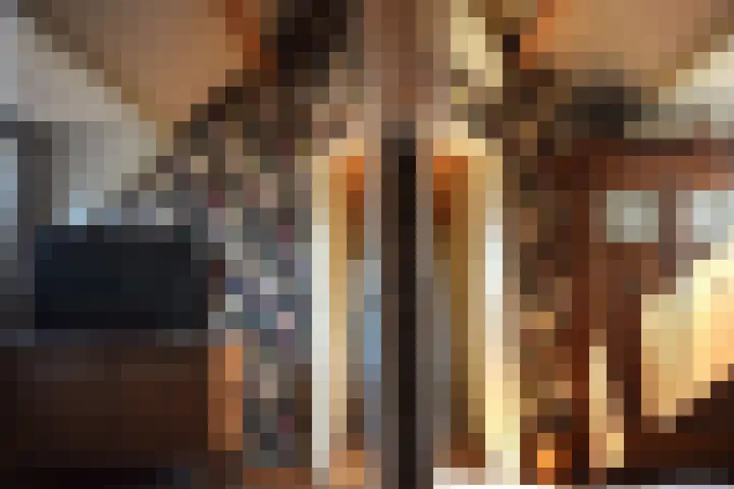 Molenstraat 22 Zevenbergen thumbnail 36