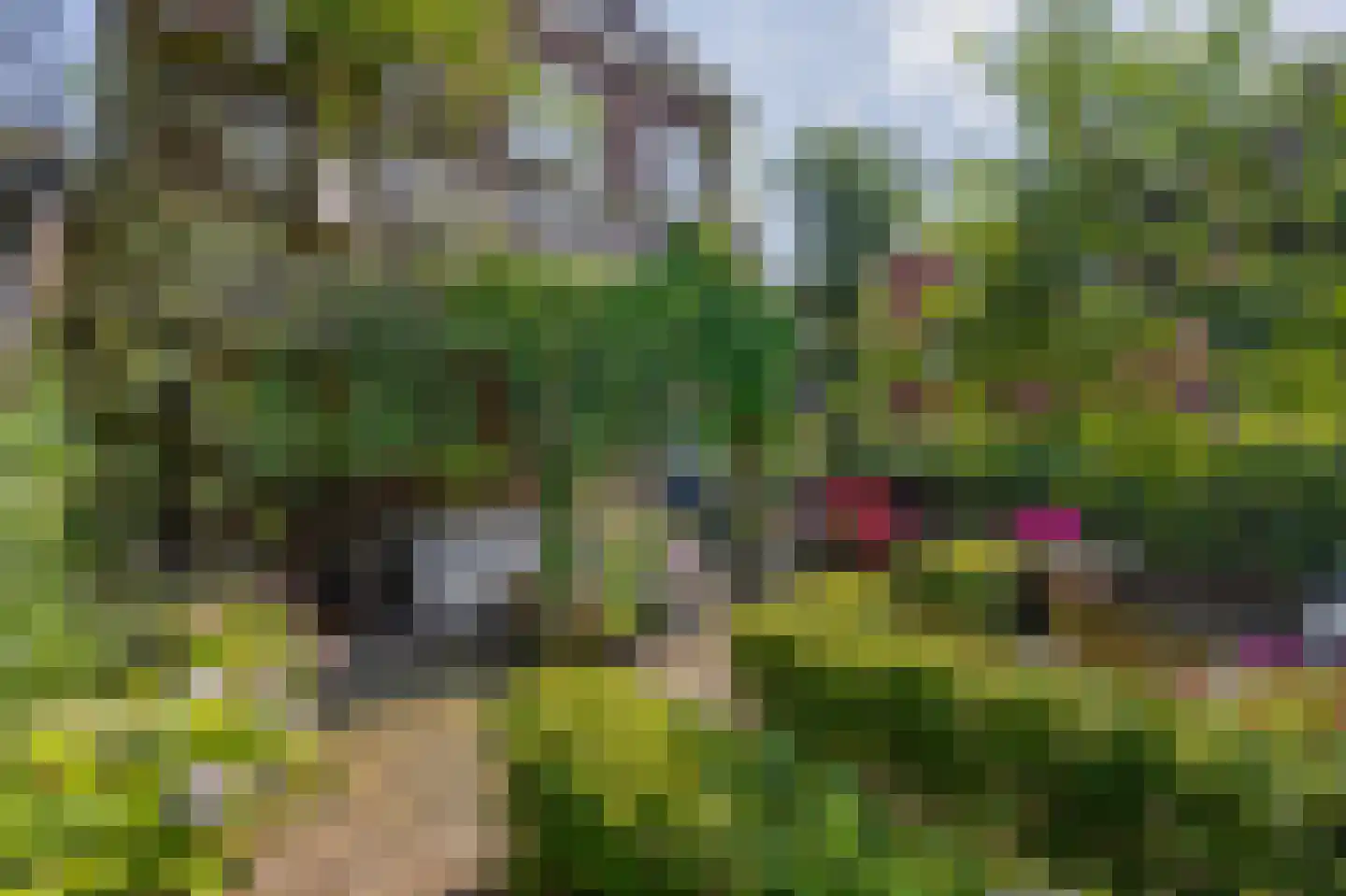 Molenstraat 22 Zevenbergen thumbnail 48