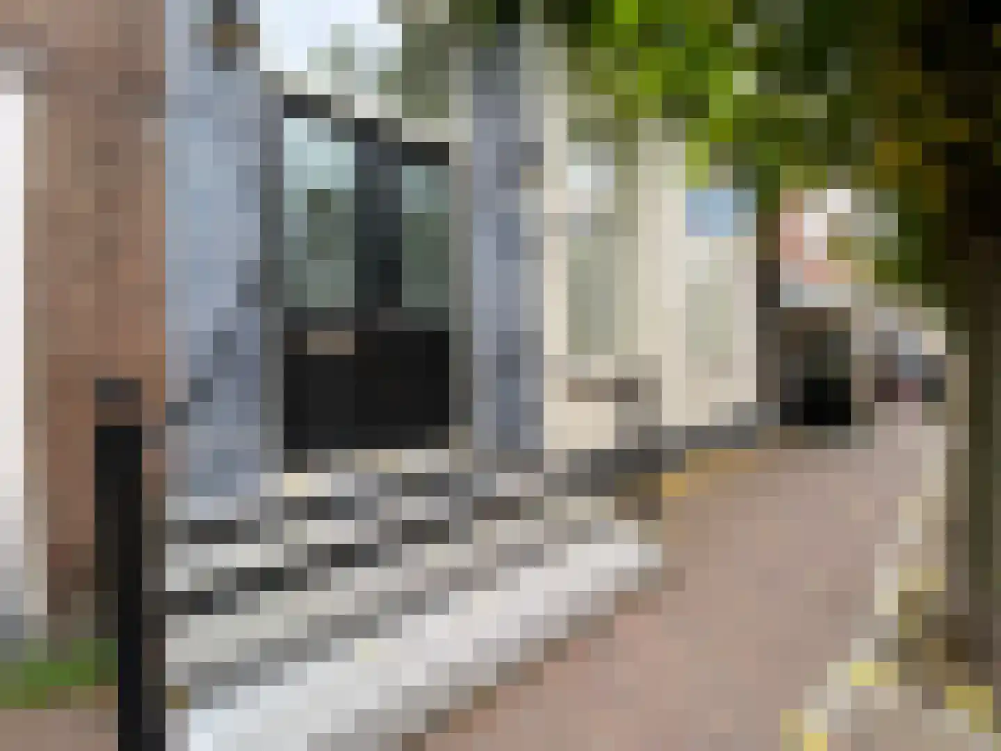 Molenstraat 22 Zevenbergen thumbnail 5