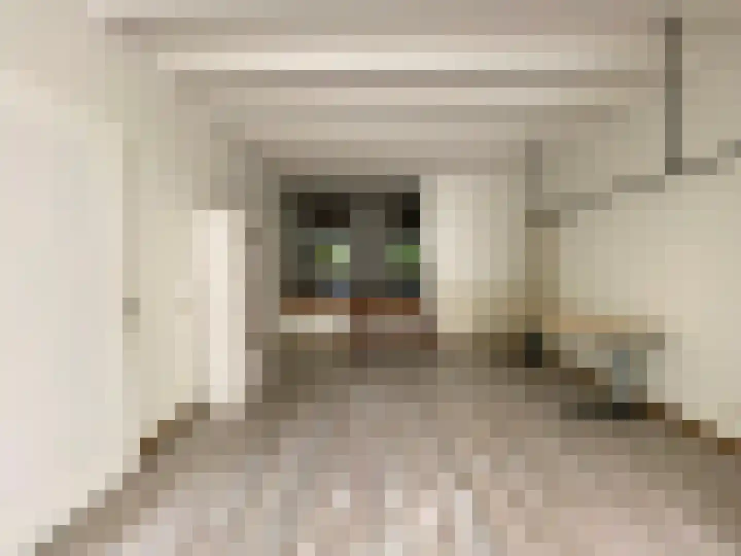 Molenstraat 22 Zevenbergen thumbnail 61