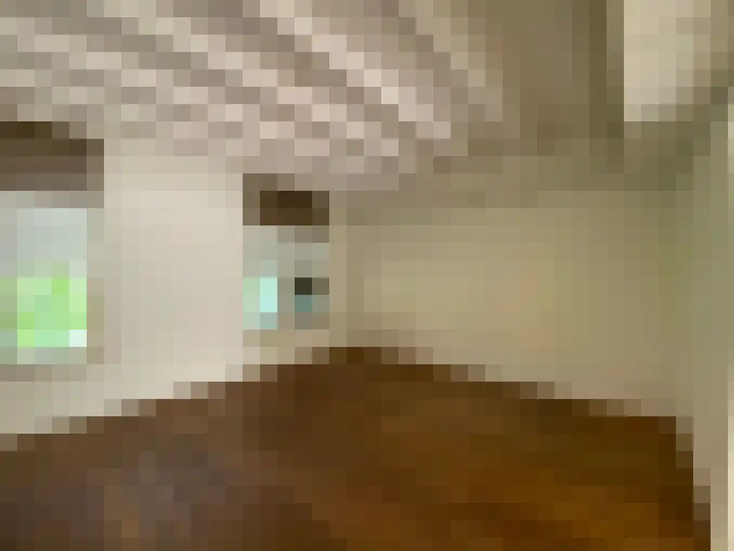 Molenstraat 22 Zevenbergen thumbnail 63