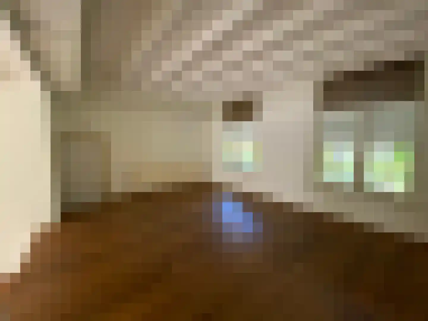 Molenstraat 22 Zevenbergen thumbnail 64