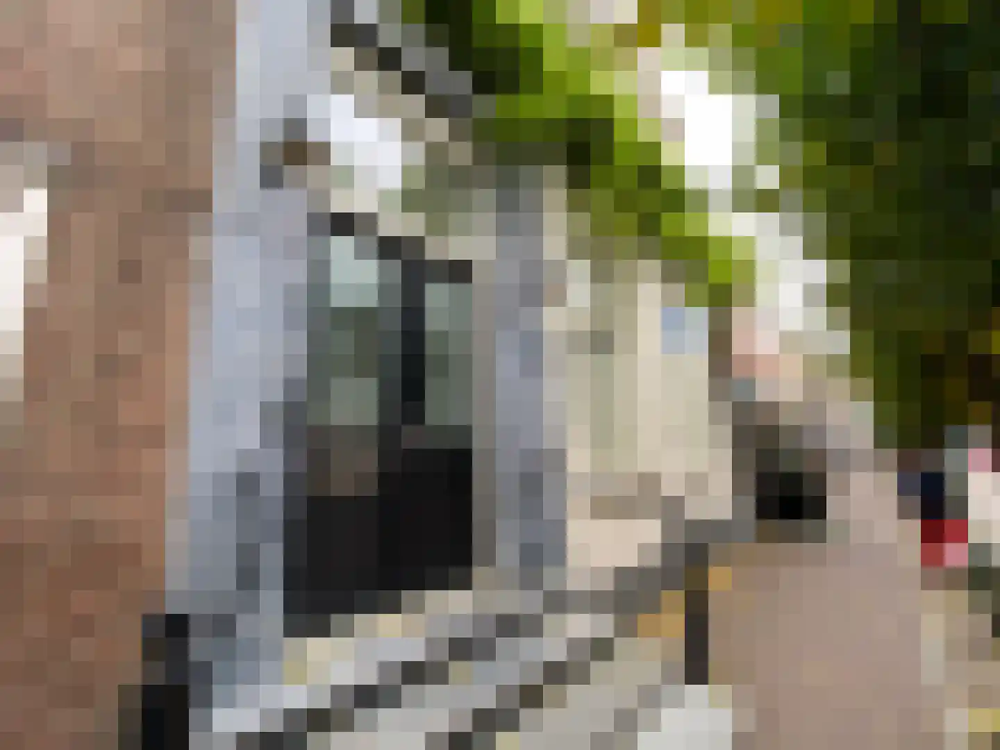 Molenstraat 22 Zevenbergen thumbnail 68