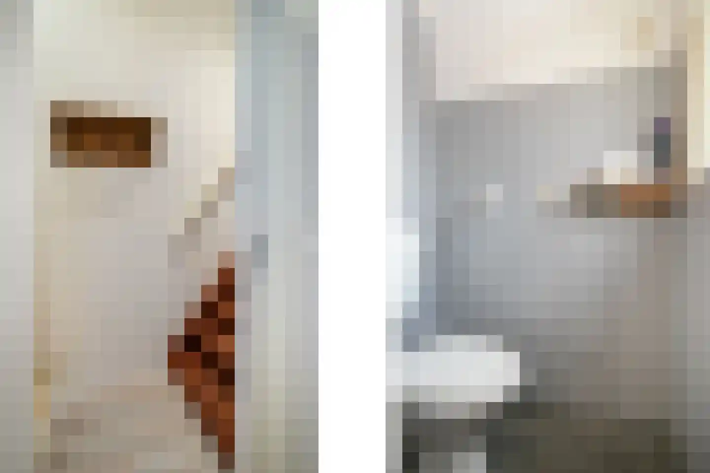 Molenstraat 22 Zevenbergen thumbnail 7