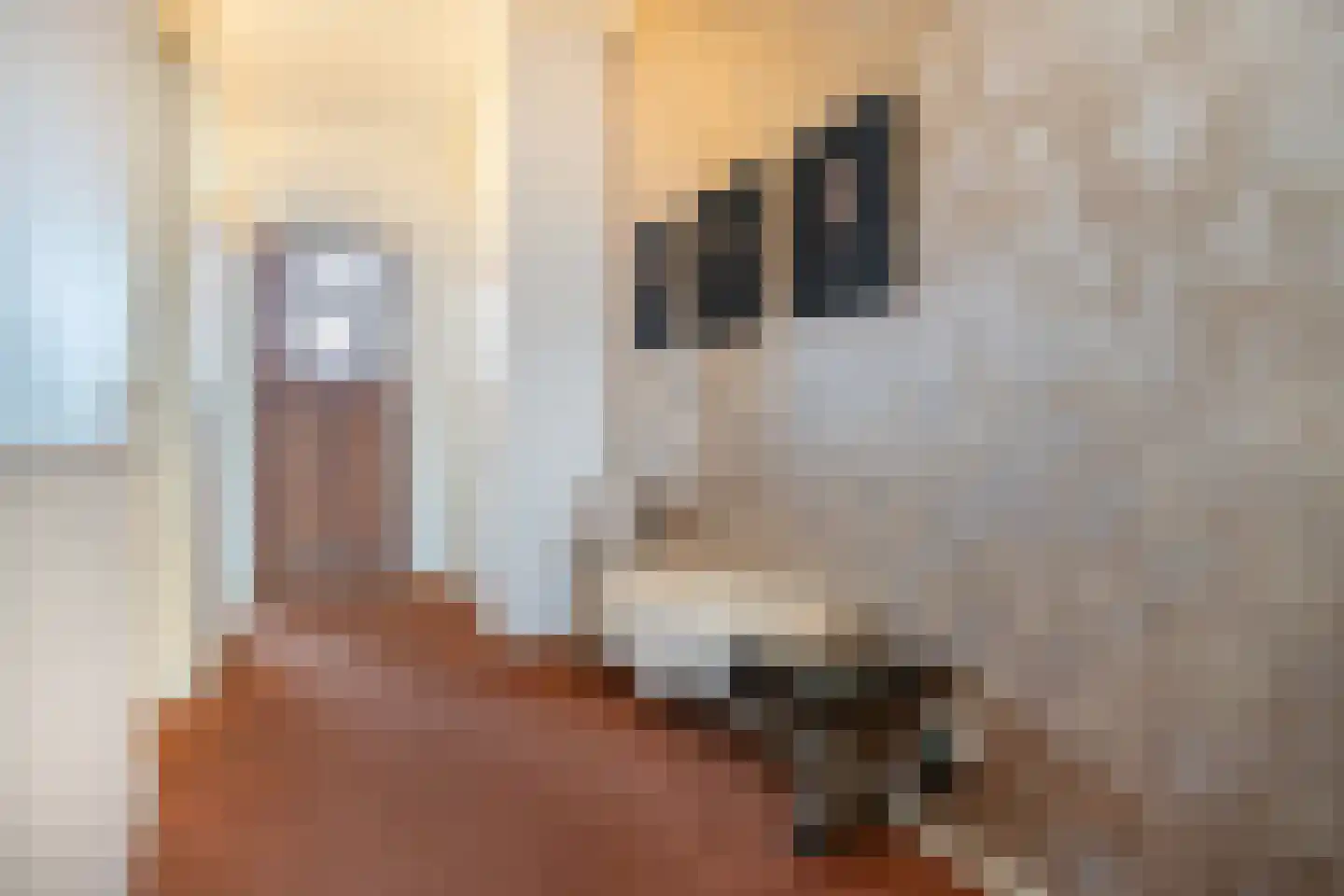 Molenstraat 22 Zevenbergen thumbnail 9