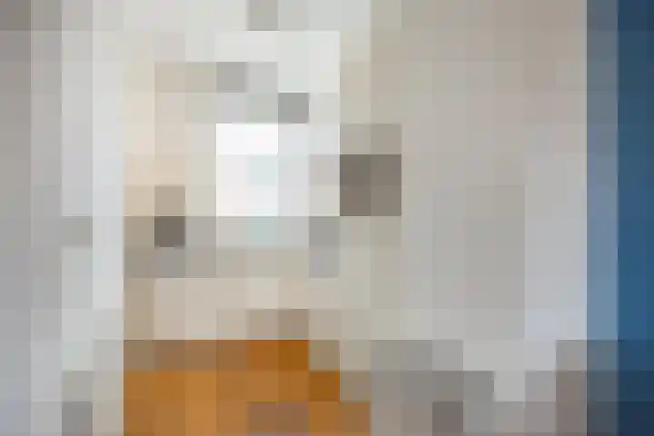 Molenstraat 22 Zwammerdam thumbnail 10