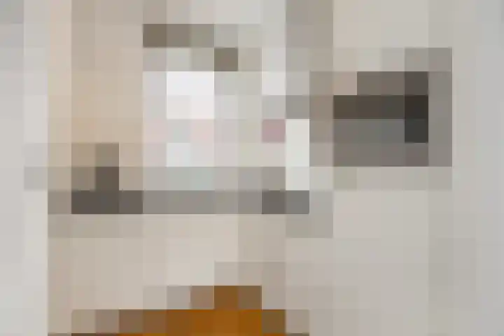 Molenstraat 22 Zwammerdam thumbnail 11