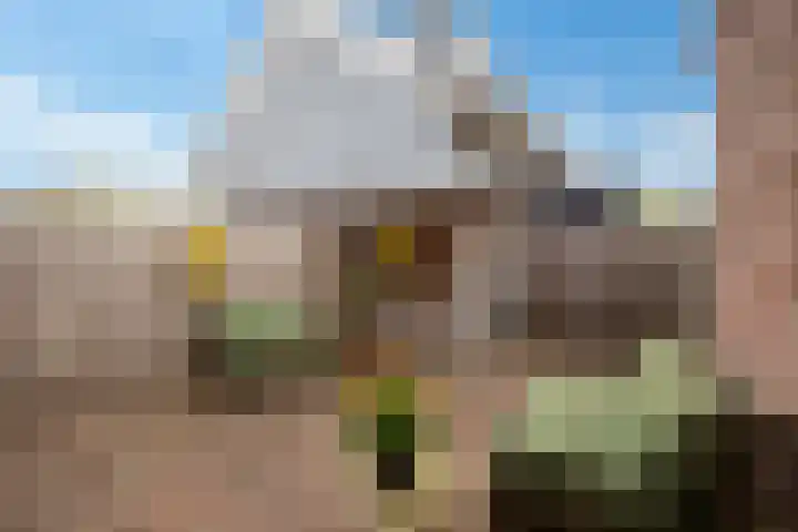 Molenstraat 22 Zwammerdam thumbnail 12