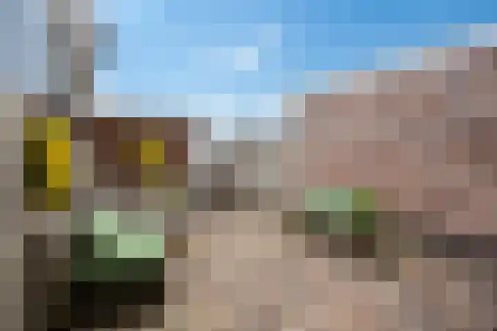 Molenstraat 22 Zwammerdam thumbnail 13