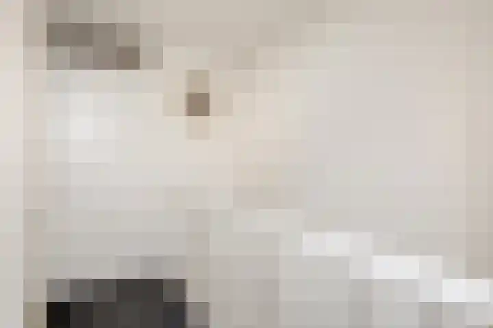 Molenstraat 22 Zwammerdam thumbnail 15