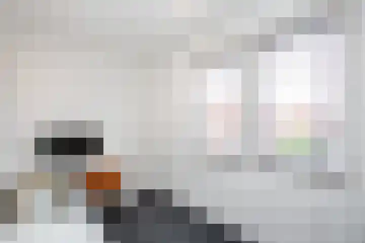 Molenstraat 22 Zwammerdam thumbnail 18