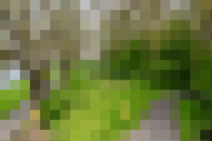 Molenstraat 22 Zwammerdam thumbnail 25