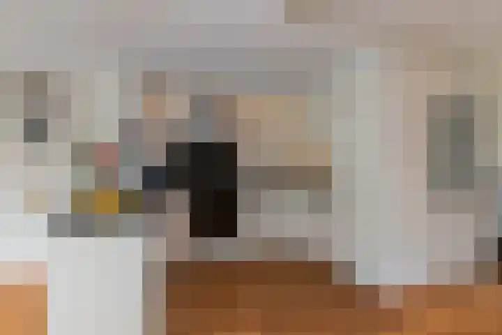 Molenstraat 220 Monster thumbnail 13