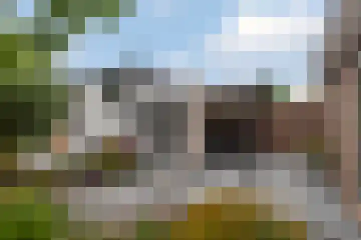 Molenstraat 220 Monster thumbnail 18
