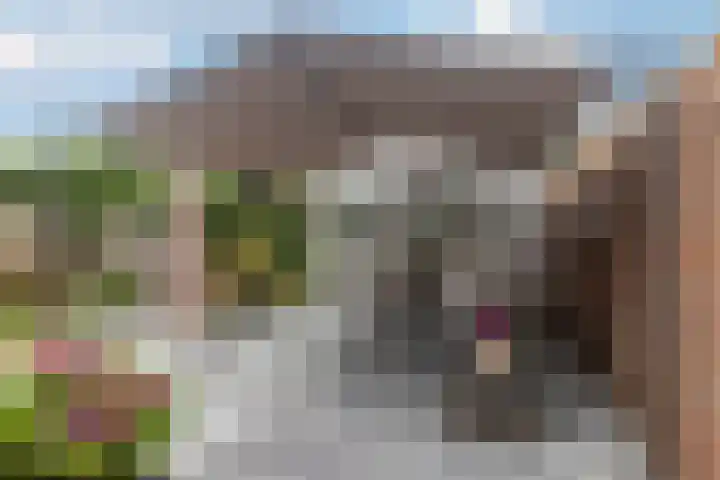 Molenstraat 220 Monster thumbnail 19