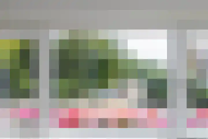 Molenstraat 220 Monster thumbnail 30
