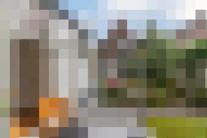 Molenstraat 220 Monster thumbnail 4