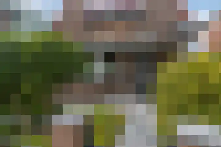 Molenstraat 220 Monster thumbnail 5