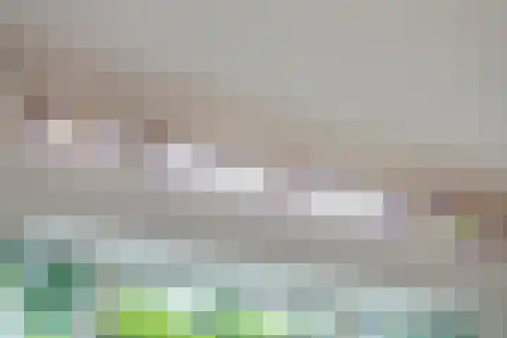 Molenstraat 220 Monster thumbnail 8