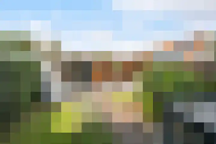 Molenstraat 222 Monster thumbnail 10