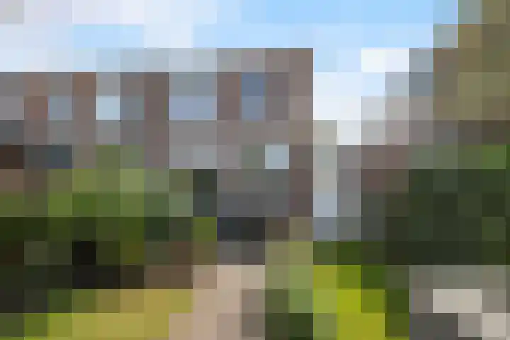Molenstraat 222 Monster thumbnail 13