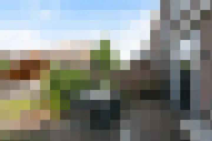 Molenstraat 222 Monster thumbnail 14