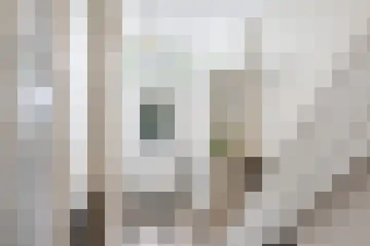 Molenstraat 222 Monster thumbnail 15