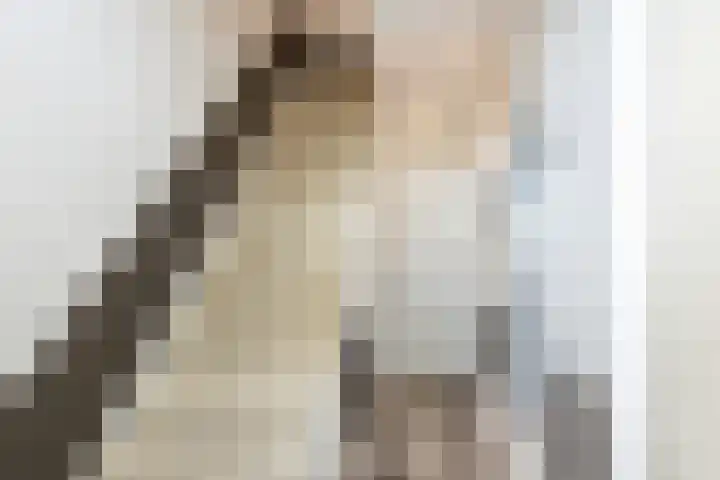 Molenstraat 222 Monster thumbnail 17