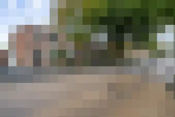 Molenstraat 222 Monster thumbnail 32