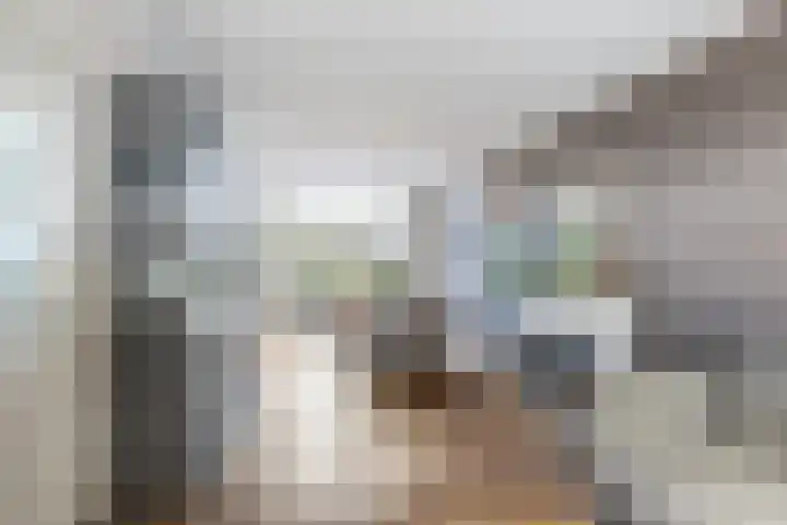 Molenstraat 222 Monster thumbnail 4