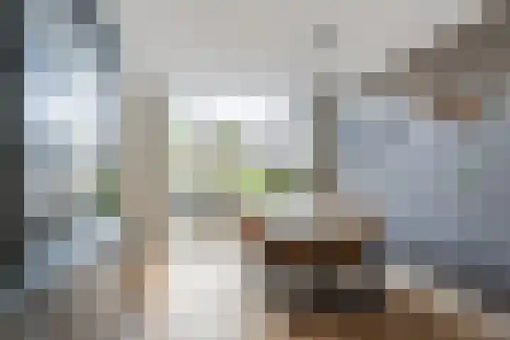 Molenstraat 222 Monster thumbnail 5
