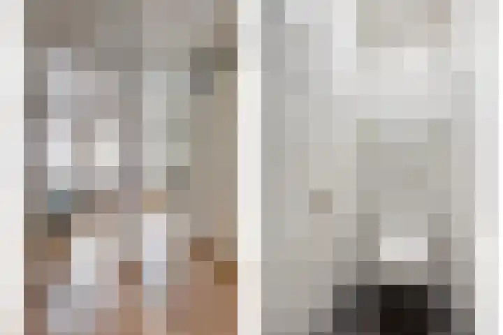 Molenstraat 223 Oss thumbnail 16