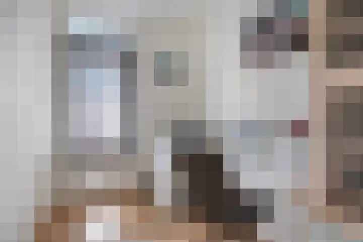 Molenstraat 223 Oss thumbnail 21