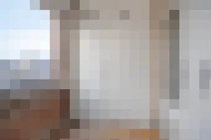 Molenstraat 223 Oss thumbnail 24