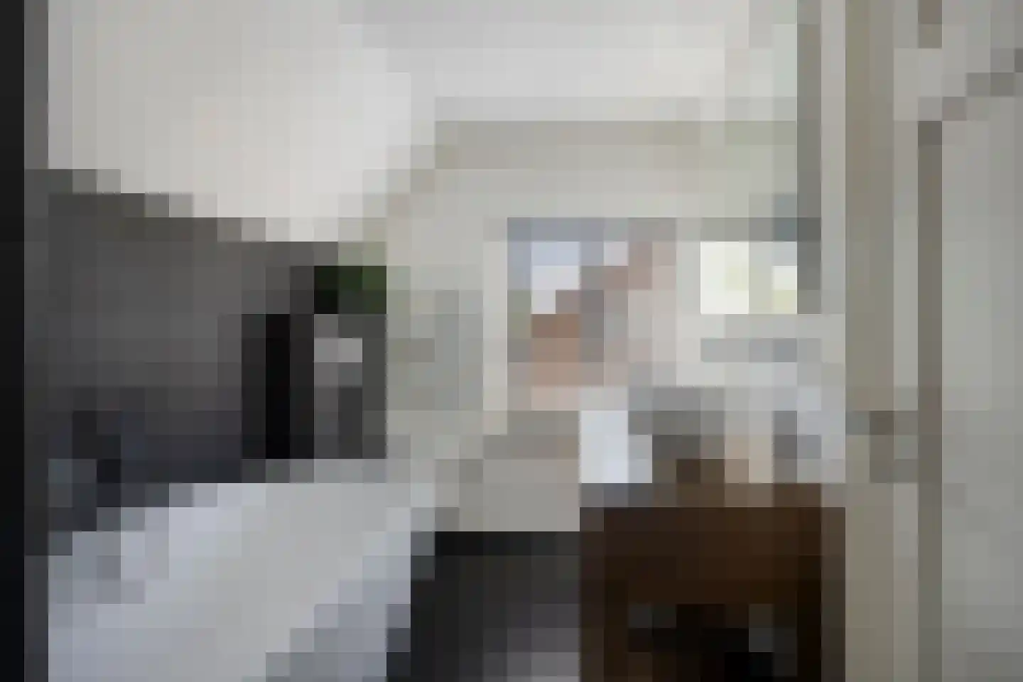 Molenstraat 23 Berlicum thumbnail 20