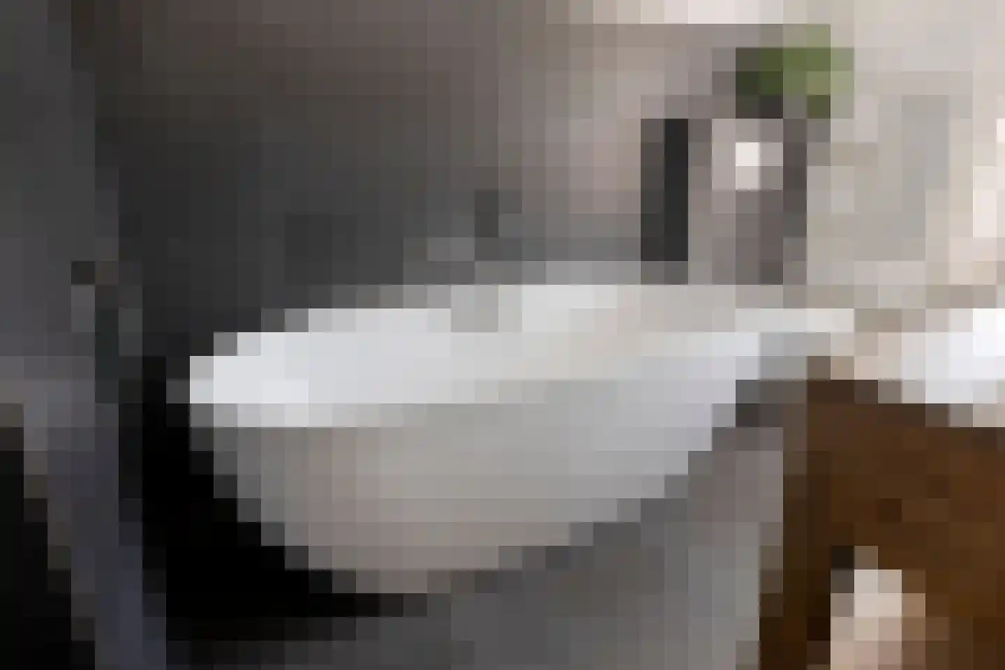 Molenstraat 23 Berlicum thumbnail 21
