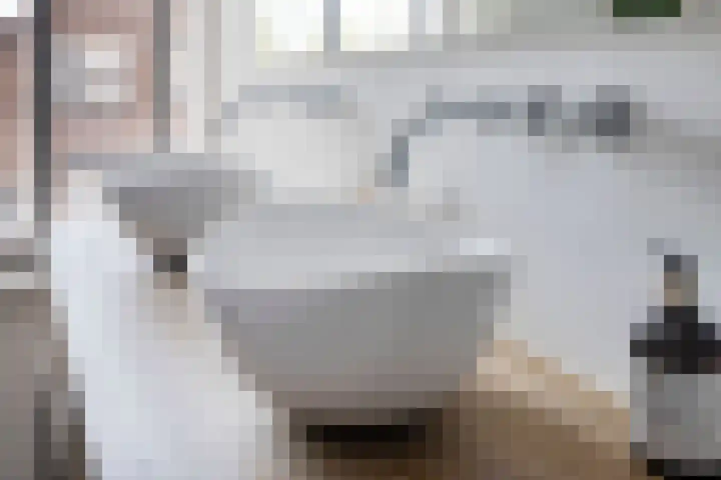 Molenstraat 23 Berlicum thumbnail 22